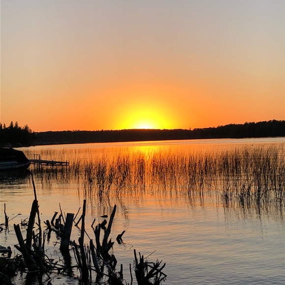 Meet your Posher, Bill - Picture 1 of 1